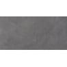 Mexen Evolution Gris glazed rectified floor-wall tile 120 x 60 cm, carving - TL437-120-060-02