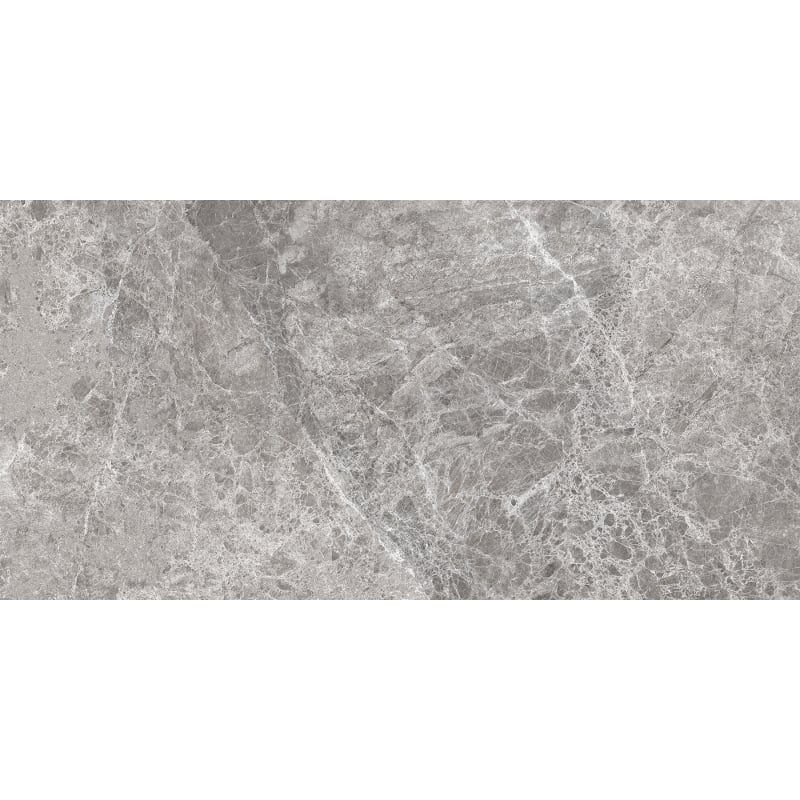 Mexen Lizard Grey glazed rectified gres G1, floor-wall tile 120 x 60 cm, gloss - TL109-120-060-02