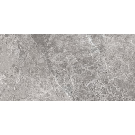 Mexen Lizard Grey glazed rectified gres G1, floor-wall tile 120 x 60 cm, gloss - TL109-120-060-02