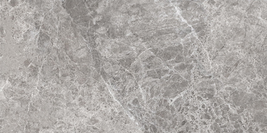 Mexen Lizard Grey grès émaillé rectifié G1, carreau sol-mur 120 x 60 cm, brillant - TL109-120-060-02