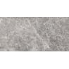 Mexen Lizard Grey glazed rectified gres G1, floor-wall tile 120 x 60 cm, gloss - TL109-120-060-02