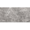 Mexen Lizard Grey grès émaillé rectifié G1, carreau sol-mur 120 x 60 cm, brillant - TL109-120-060-02