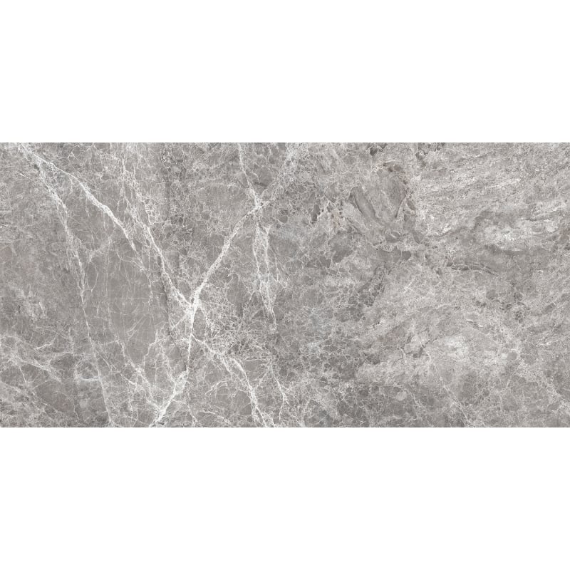 Mexen Lizard Grey glazed rectified gres G1, floor-wall tile 120 x 60 cm, gloss - TL109-120-060-02