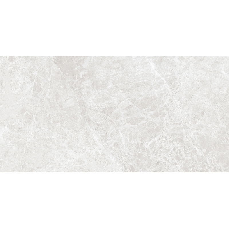 Mexen Lizard Silber glasiertes Feinsteinzeug rekt. G1, Boden- und Wandfliese 120 x 60 cm, glänzend - TL109-120-060-03