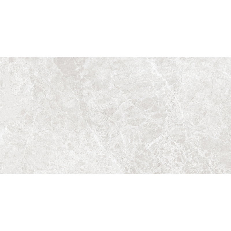 Mexen Lizard Srebrni glazirani gres rekt. G1, talna in stenska ploščica 120 x 60 cm, sijaj - TL109-120-060-03