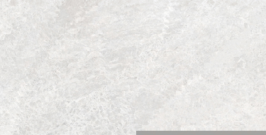 Mexen Lizard Silver geglazuurde gerectificeerde gres G1, vloer- en wandtegel 120 x 60 cm, glans - TL109-120-060-03