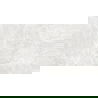 Mexen Lizard Silver glasiertes Feinsteinzeug rekt. G1, Boden- und Wandfliese 120 x 60 cm, glänzend - TL109-120-060-03