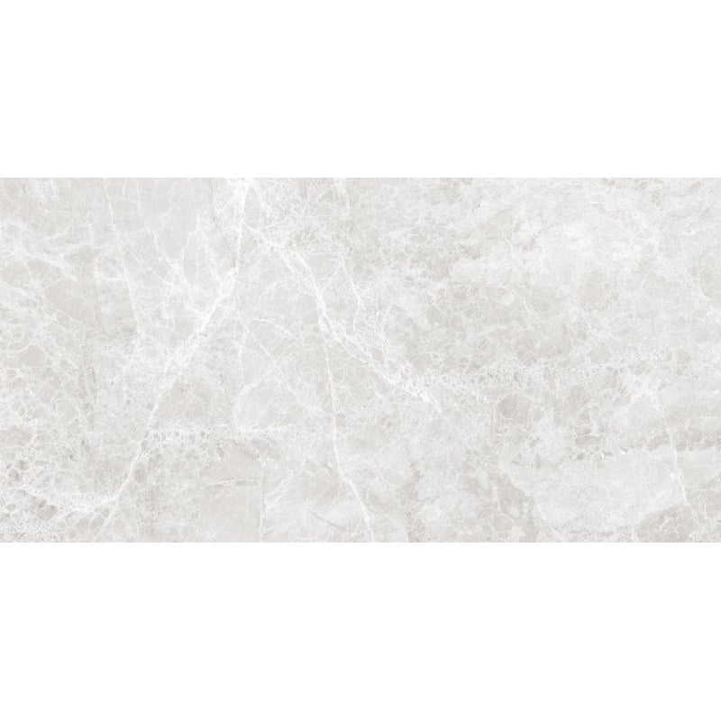 Mexen Lizard Silver geglazuurde gerectificeerde gres G1, vloer- en wandtegel 120 x 60 cm, glans - TL109-120-060-03