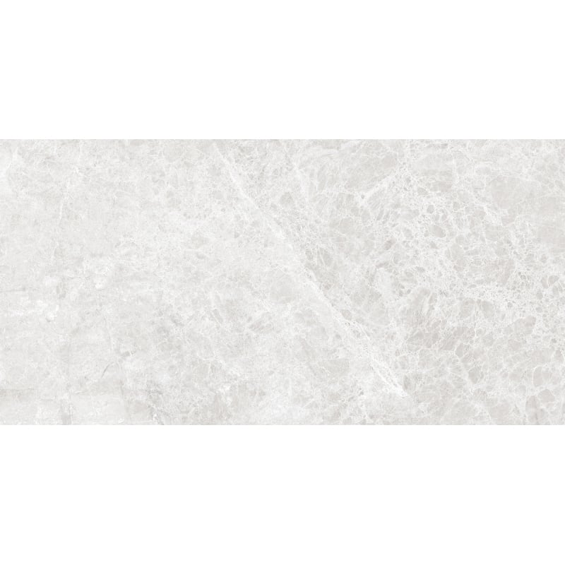 Mexen Lizard Silver gres esmaltado rectificado G1, azulejo de suelo y pared 120 x 60 cm, brillo - TL109-120-060-03