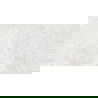Mexen Lizard Silver glasiertes Feinsteinzeug rekt. G1, Boden- und Wandfliese 120 x 60 cm, glänzend - TL109-120-060-03