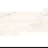 Mexen Brakel Goud geglazuurd gres gerectificeerd G1, vloer- en wandtegel 120 x 60 cm, glans - TL110-120-060-00