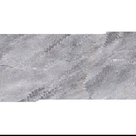 Mexen Eternity Grey geglazuurd gerectificeerd gres G1, vloer-wandtegel 120 x 60 cm, glans - TL112-120-060-01
