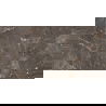 Mexen Champion Brown geglazuurde gerectificeerde gres G1, vloer- en wandtegel 120 x 60 cm, glanzend - TL116-120-060-00