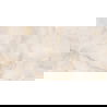 Mexen Robins Beige glasierte Rektifikat Feinsteinzeug, Boden- und Wandfliese 120 x 60 cm, glänzend - TL119-120-060-01