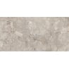 Mexen Artistic Gris carreau céramique émaillée rect. G1, carreau sol-mur 120 x 60 cm, brillant - TL121-120-060-00