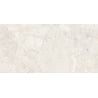 Mexen Artistic Steel glasiertes Rektifikat G1, Boden- und Wandfliese 120 x 60 cm, glänzend - TL121-120-060-01