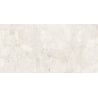 Mexen Artistic Steel glasiertes Rektifikat G1, Boden- und Wandfliese 120 x 60 cm, glänzend - TL121-120-060-01