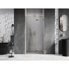 Mexen Lunar right hinged shower door 100 cm, transparent, gold - 834-100-000-50-00-P