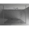 Mexen Kioto vabalt seisev dušisein 100 x 200 cm, valge laine 8 mm, kroom - 800-100-002-01-97