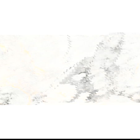 Mexen Scordia Grijs geglazuurde gres gerectificeerd G1, vloer-muur tegel 120 x 60 cm, glans - TL125-120-060-00