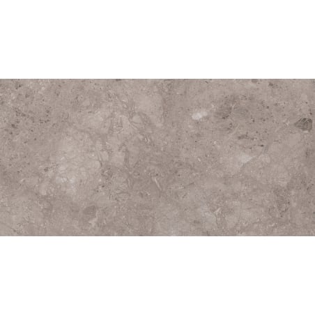 Mexen Olpado Choco carreaux de grès émaillé rectifié G1, carreaux sol-mur 120 x 60 cm, brillant - TL126-120-060-01