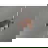 Mexen Lunar douchedeur naar buiten openslaand rechts 70 cm, transparant, geborsteld koper - 834-070-000-65-00-P