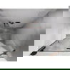 Mexen Lunar Duschüren, rechts öffnend, 70 cm, transparent, gebürstetes Kupfer - 834-070-000-65-00-P