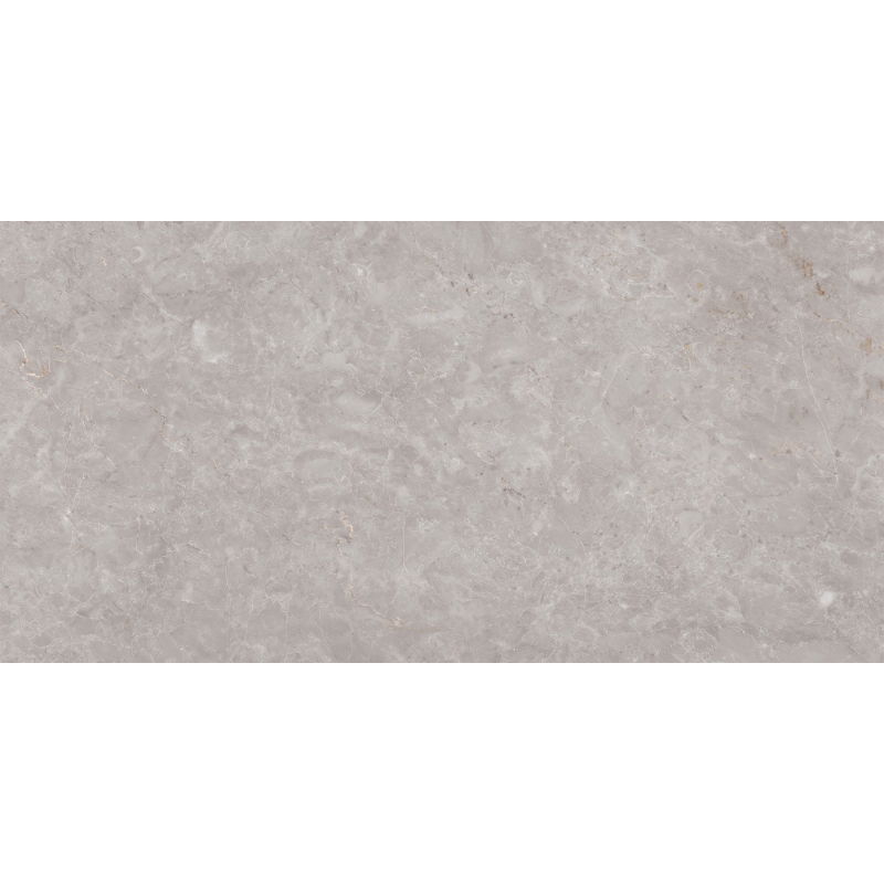 Mexen Qortecia Grijs geglazuurd gres gerektificeerd G1, vloer- en wandtegel 120 x 60 cm, glans - TL129-120-060-01