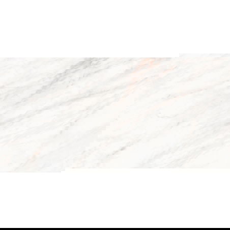 Mexen Forever Grey geglazuurde gerectificeerde gres tegels G1, vloer- en wandtegel 120 x 60 cm, glans - TL139-120-060-00