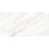Mexen Forever Grey gres szkliwiony rekt. G1, płytka podłogowo-ścienna 120 x 60 cm, połysk - TL139-120-060-00