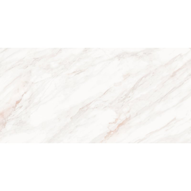 Mexen Forever Grey grès émaillé rect. G1, carreau sol-mur 120 x 60 cm, brillant - TL139-120-060-00