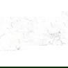 Mexen Smogy Grijs glanzend gerectificeerd gres, vloer- en wandtegel 120 x 60 cm, glans - TL140-120-060-01