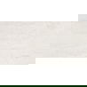 Mexen Homes Bianco glasiertes Feinsteinzeug rek. G1, Boden- und Wandfliese 120 x 60 cm, glänzend - TL151-120-060-00
