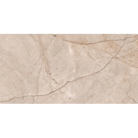Mexen Newton Natural glasierte rektifizierte Gresfliese G1, Boden- und Wandfliese 120 x 60 cm, Glanz - TL155-120-060-00