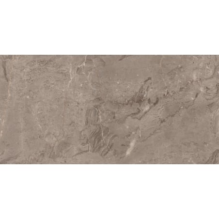 Mexen Arbour Taupe carrelage vitré rectifié G1, carreau sol-mur 120 x 60 cm, brillant - TL158-120-060-01