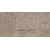 Mexen Arbour Taupe carrelage vitré rectifié G1, carreau sol-mur 120 x 60 cm, brillant - TL158-120-060-01