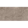 Mexen Arbour Taupe carrelage vitré rectifié G1, carreau sol-mur 120 x 60 cm, brillant - TL158-120-060-01