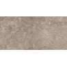 Mexen Arbour Taupe carrelage vitré rectifié G1, carreau sol-mur 120 x 60 cm, brillant - TL158-120-060-01