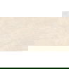 Mexen Nairobi Beige geglazuurd gerectificeerd grès G1, vloer- en wandtegel 120 x 60 cm, glans - TL160-120-060-00