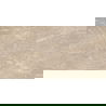 Mexen Nairobi Brown geglazuurde gerectificeerde G1 gres, vloer- en wandtegel 120 x 60 cm, glans - TL160-120-060-01
