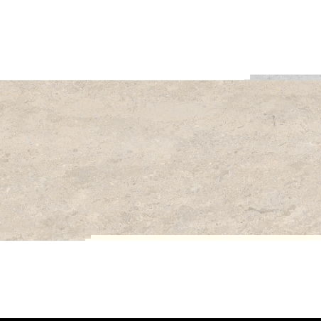 Mexen Dayno Classic glazed rectified G1 tile, floor-wall tile 120 x 60 cm, gloss - TL166-120-060-01