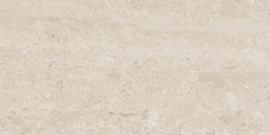 Mexen Dayno Classic carreau de grès émaillé rectifié G1, carreau sol-mur 120 x 60 cm, brillant - TL166-120-060-01