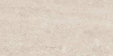 Mexen Dayno Classic geglazuurd gerectificeerd gres G1, vloer-muurtegel 120 x 60 cm, glans - TL166-120-060-01