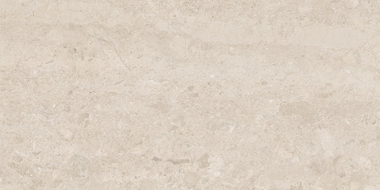 Mexen Dayno Classic rektilineaarne glasuuritud kiviplaat G1, põranda- ja seinaplaat 120 x 60 cm, läikiv - TL166-120-060-01
