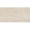 Mexen Dayno Classic glazed rectified G1 tile, floor-wall tile 120 x 60 cm, gloss - TL166-120-060-01