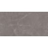 Mexen Gloster Gris carreaux en grès cérame rectifié. G1, carrelage sol et mur 120 x 60 cm, brillant - TL172-120-060-01