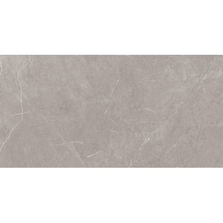 Mexen Gloster Gris Clair grès émaillé rectifié G1, carreaux de sol et mur 120 x 60 cm, brillant - TL172-120-060-04