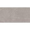 Mexen Gloster Light Grey glazed rectified porcelain tile G1, floor and wall tile 120 x 60 cm, glossy - TL172-120-060-04