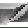 Mexen Kioto Duschwand Walk-in 100 x 200 cm, Spiegel 8 mm, weiß - 800-10-101-20-50