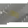 Mexen Lunar-B draaibare douchedeur links 85 cm, transparant, geborsteld goud - 832-085-000-55-00-L